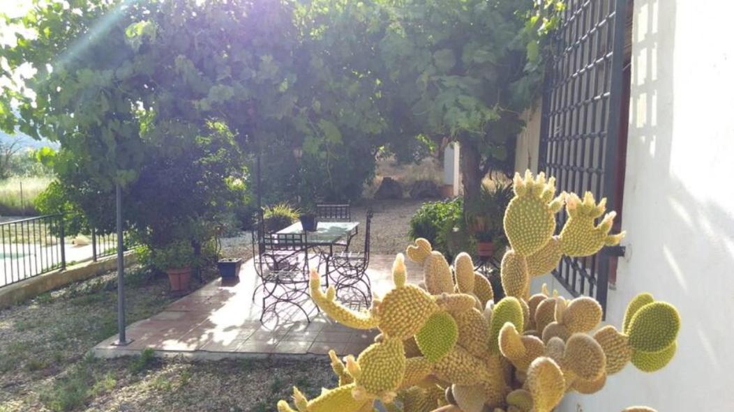 Cortijo El Cosio *